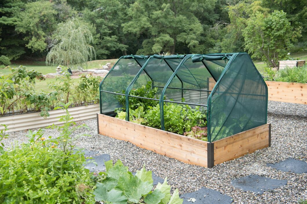 The Garden Shed Store -The Garden Shed Store 0d0c6006 ae1b 4712 bdd5 5d172174bd67.9ceda4d8aaf8e3b985913a05abc8960d