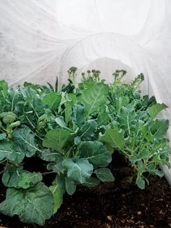 Summerweight Garden Fabric -The Garden Shed Store 32644 7936 tif