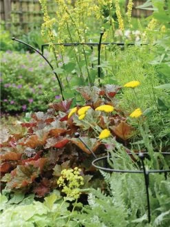 Essex Plant Supports 9 Essex Plant Supports -The Garden Shed Store 37423 280 tif