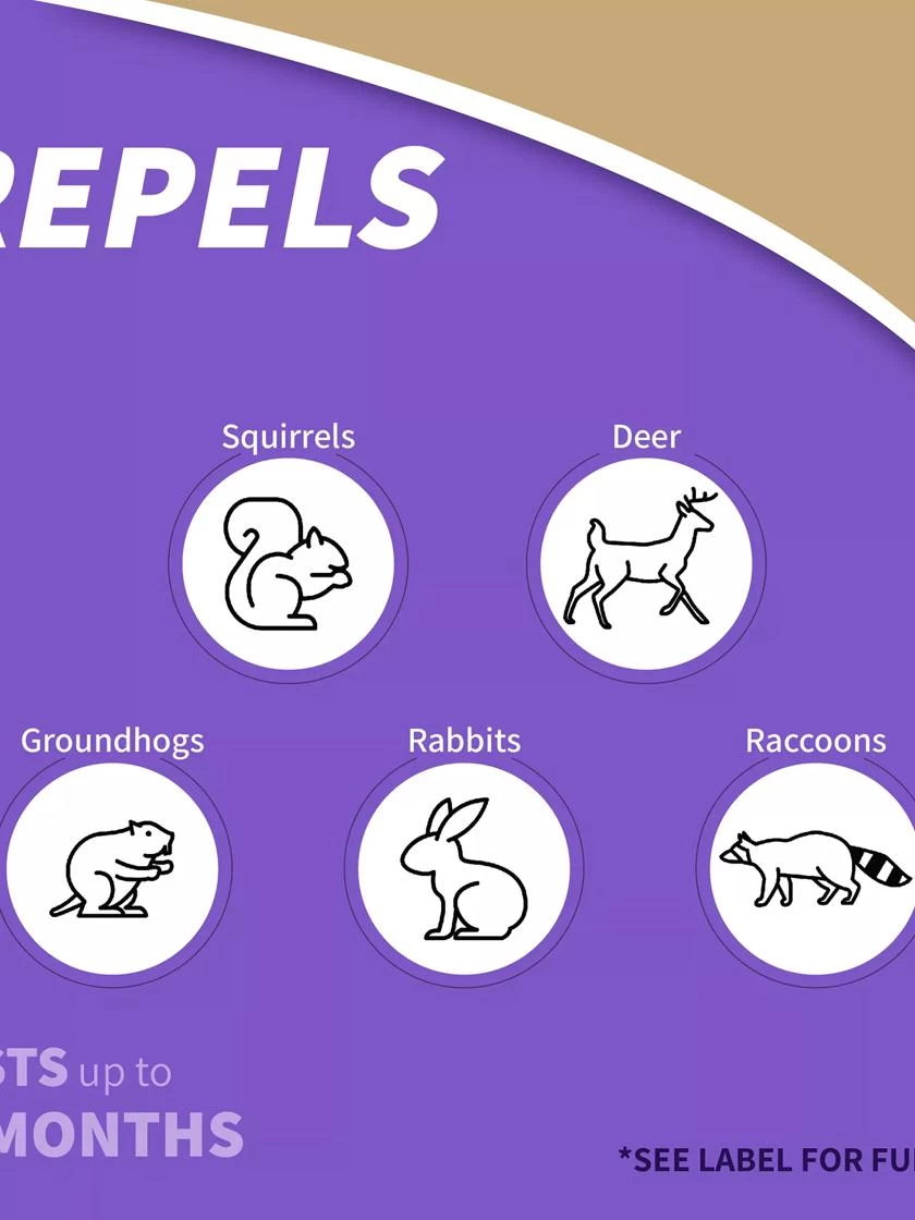 Repels-All® Animal Repellent 2 Repels-All® Animal Repellent - Image 2