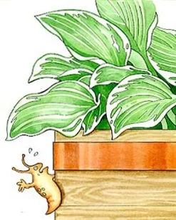 Copper Slug Tape -The Garden Shed Store 38 994 b