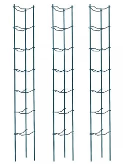 Tomato Ladders, Set Of 3 -The Garden Shed Store 38184 002E psd