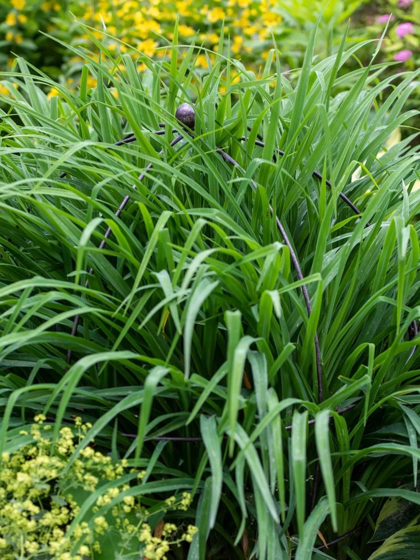 Jardin Bird Cage Support, 26" 3 Jardin Bird Cage Support, 26" - Image 3