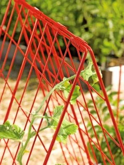 Deluxe Cucumber Trellis -The Garden Shed Store 39806 542 tif