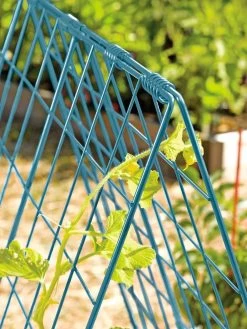 Deluxe Cucumber Trellis -The Garden Shed Store 39806 BLUE 100 tif