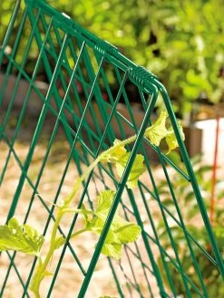Deluxe Cucumber Trellis -The Garden Shed Store 39806 GR edit tif
