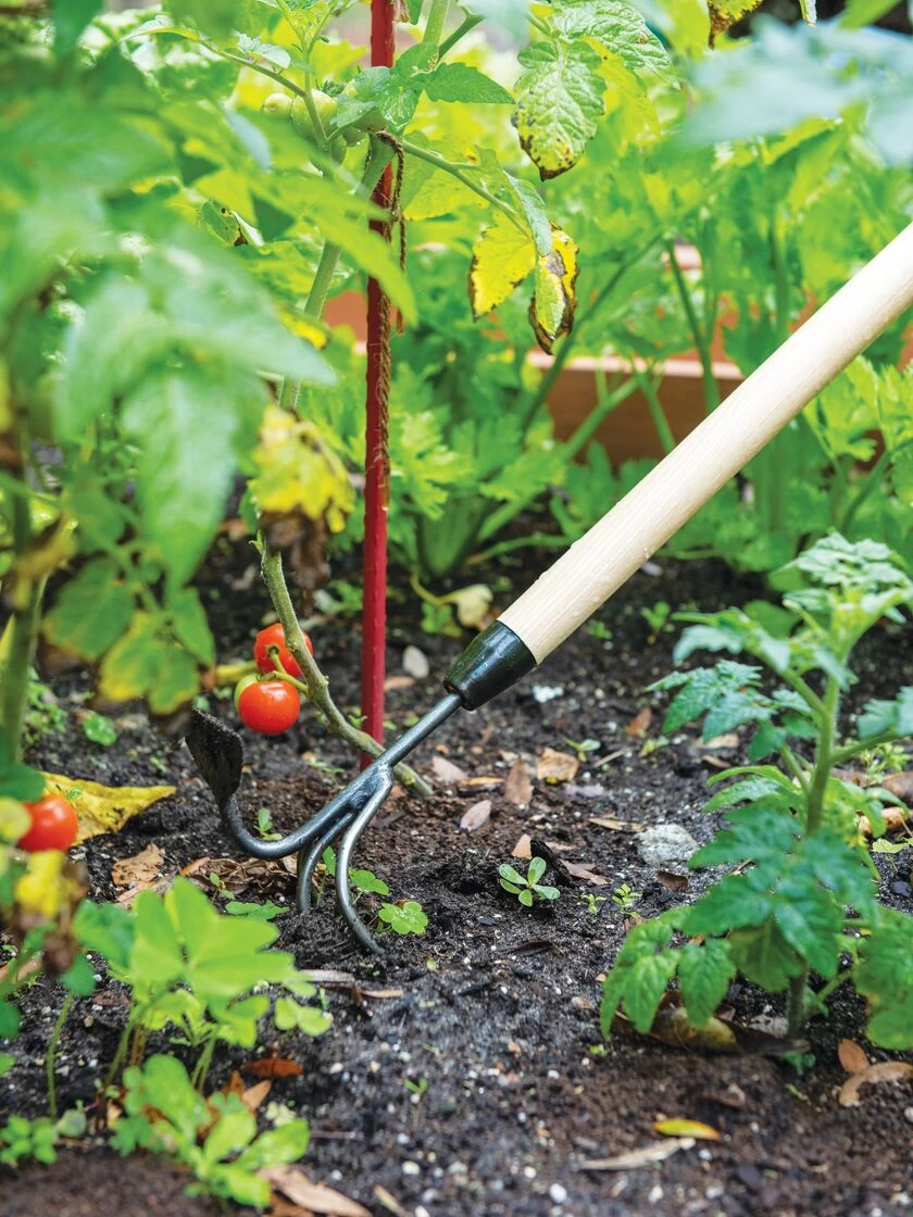Gardener's Lifetime Long-Handled Double Tool 3 Gardener's Lifetime Long-Handled Double Tool - Image 3
