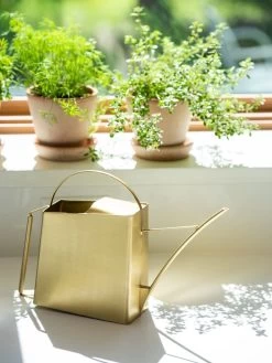 Precision Brass Watering Can