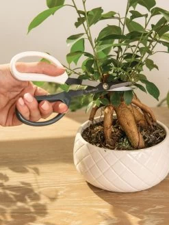 Japanese Pruning Scisssors -The Garden Shed Store 3 4 crop 8612968 0087