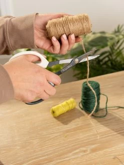 Japanese Pruning Scisssors -The Garden Shed Store 3 4 crop 8612968 0099