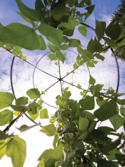 Jardin Tower -The Garden Shed Store 3 4 crop 8612997 0033