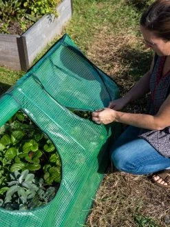 Multi Cloche -The Garden Shed Store 3 4 crop 8613213 0245