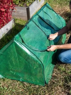 Multi Cloche -The Garden Shed Store 3 4 crop 8613213 0250