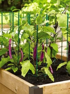 Pepper And Eggplant Stakes, Set Of 3 -The Garden Shed Store 40308 2116 tif
