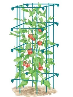 Tomato Cage, Single -The Garden Shed Store 8587039 TomatoCage BLUE tif