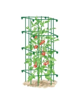 Tomato Cage, Single -The Garden Shed Store 8587039 TomatoCage GRN tif