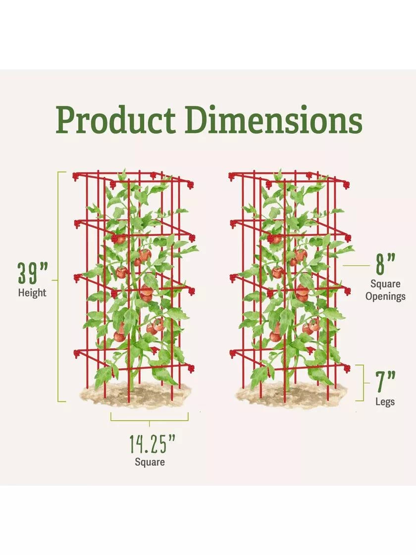Tomato Cages, Set Of 4 6 Tomato Cages, Set Of 4 - Image 6