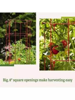 Tomato Cages, Set Of 4 13 Tomato Cages, Set Of 4 -The Garden Shed Store 8587040 2