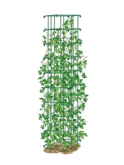 Bean Tower -The Garden Shed Store 8587060 0008 GRN tif