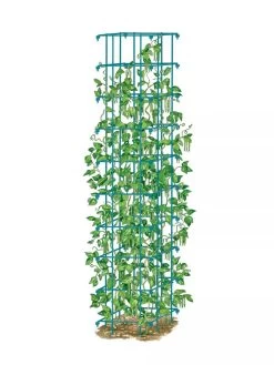 Bean Tower -The Garden Shed Store 8587060 BeanTower BLUE