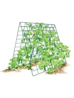 Deluxe Cucumber Trellis -The Garden Shed Store 8587083 001 GRN tif
