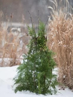 Jardin Pot Trellis -The Garden Shed Store 8587120 009 tif