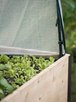 Protection Frame & Covers, 2' X 4' -The Garden Shed Store 8587631 265 tif 1