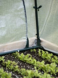 Protection Frame & Covers, 2' X 4' -The Garden Shed Store 8587631 271 tif 1