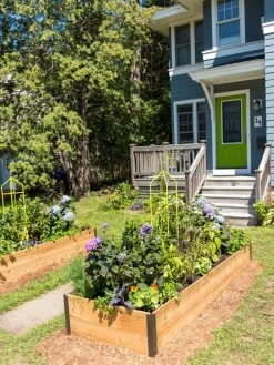 Zenith Folding Garden Supports, Set Of 2 14 Zenith Folding Garden Supports, Set Of 2 -The Garden Shed Store 8587807 0801 tif