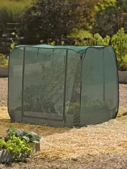 Pest Control Pop-Ups -The Garden Shed Store 8587859 026 tif