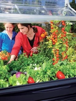 Canopia® By Palram Plant Inn™ Raised Bed Greenhouse, 4' X 4' -The Garden Shed Store 8588308 03V tif