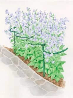 Tidy Path Supports -The Garden Shed Store 8588403 003 1