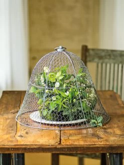 Chicken Wire Cloche 17 Chicken Wire Cloche -The Garden Shed Store 8590210 1 tif