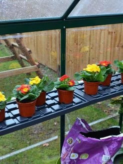 Canopia® By Palram Shelf Kit For Greenhouses, Set Of 2 Shelves -The Garden Shed Store 8591033 09V jpg