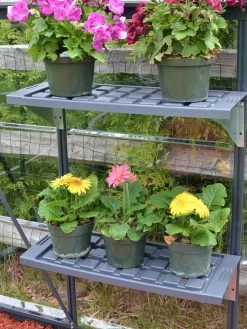 Canopia® By Palram Shelf Kit For Greenhouses, Set Of 2 Shelves -The Garden Shed Store 8591033 11V jpg