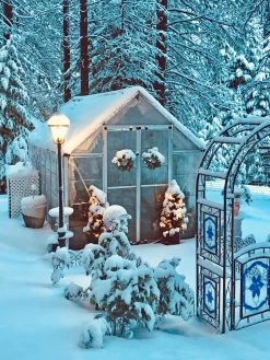 Canopia® By Palram Harmony™ Snap & Grow Greenhouse, 8' 35 Canopia® By Palram Harmony™ Snap & Grow Greenhouse, 8' -The Garden Shed Store 8591048 06V jpg