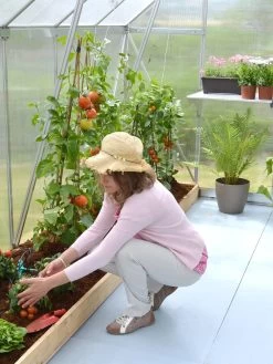 Canopia® By Palram Essence™ Greenhouse, 8' X 12' -The Garden Shed Store 8591356 04V tif