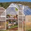 Canopia® By Palram Essence™ Greenhouse, 8' X 12'