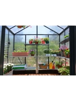 Canopia® By Palram Glory™ Greenhouse, 8' -The Garden Shed Store 8591547 02v
