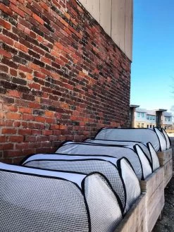 Row Shelter Accelerator -The Garden Shed Store 8591990 01IN tif