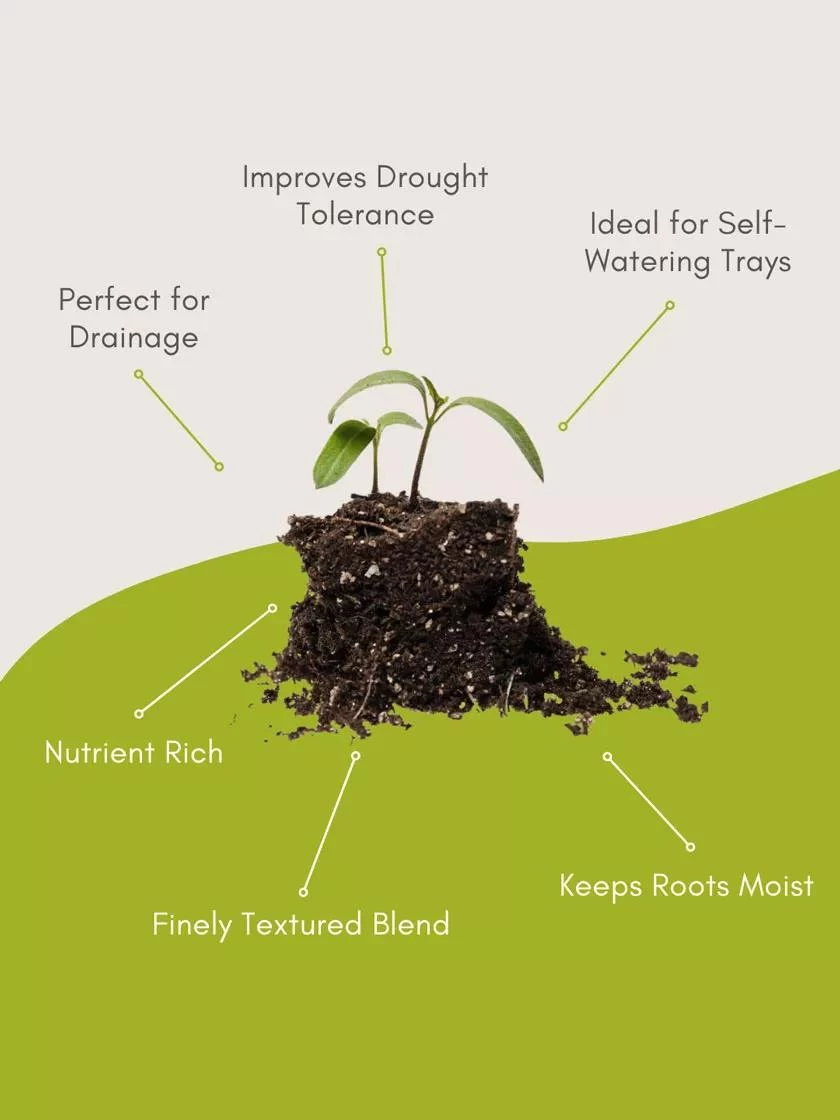 Seed Starting Mix, 9 Qts. 6 Seed Starting Mix, 9 Qts. - Image 6