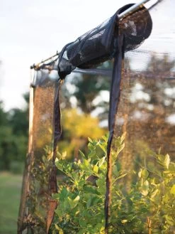 Storm Proof Crop Cage, Large -The Garden Shed Store 8592463 115 tif