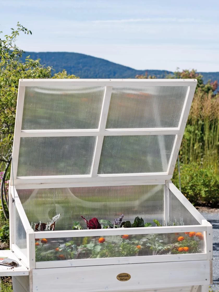 Cold Frame For Compact VegTrug® 2 Cold Frame For Compact VegTrug® - Image 2