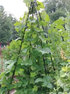 Titan Teepee Trellis -The Garden Shed Store 8595757 01EMP tif