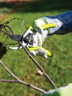 Gardener's Pro Pruner #2 -The Garden Shed Store 8596605 032 tif