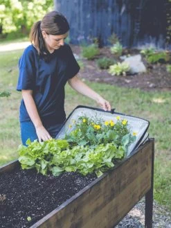 Pop-Up Crop Protector -The Garden Shed Store 8596763 EasyCropProtector gif