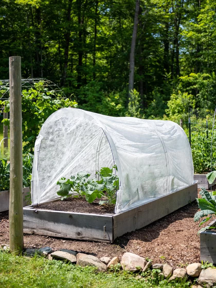 All-Purpose Garden Fabric 3 All-Purpose Garden Fabric - Image 3