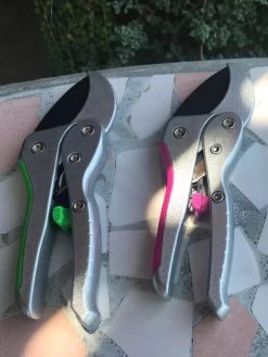 The Garden Shed Store -The Garden Shed Store 8599161 03V tif