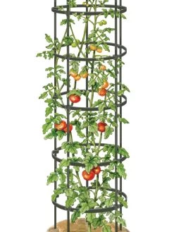 Titan Tall Tomato Cages, Set Of 3 9 Titan Tall Tomato Cages, Set Of 3 -The Garden Shed Store 8599860 0002 art tif