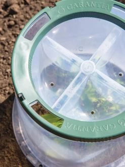 Sunny Forcing Cloches, Set Of 3 -The Garden Shed Store 8600075 0742 tif